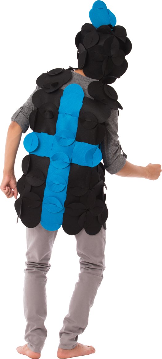 4. Back view of child in Sir William the Brave Knight costume with blue cross design on black felt
