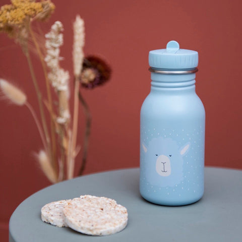 2. Light blue stainless steel bottle with alpaca design on table with dried flowers