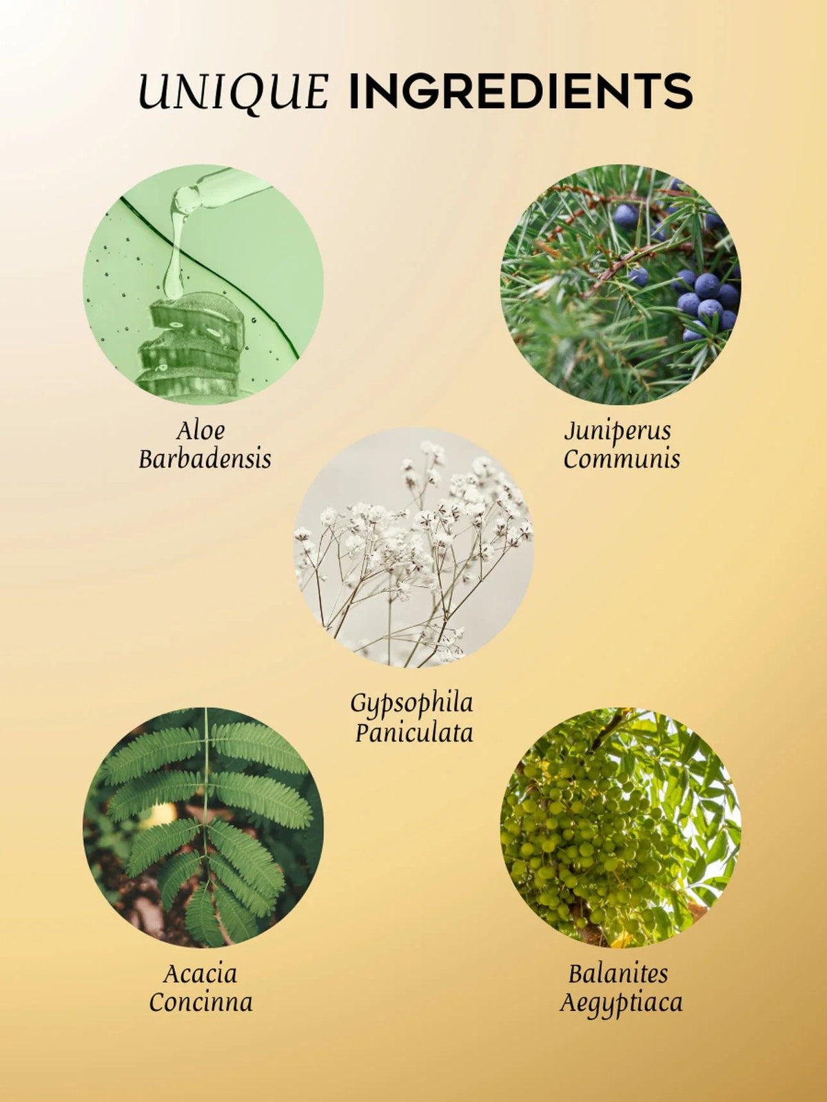 4. Unique ingredients of Magrada Organic Cosmetics Bubble Shower Gel, featuring Aloe Barbadensis, Juniperus Communis, and more