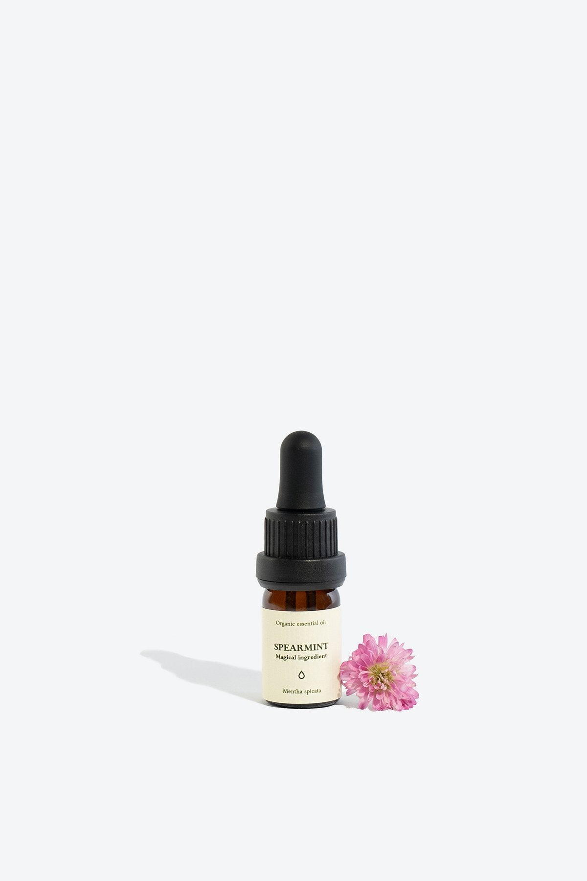1. Spearmint essential oil in 5 ml glass bottle with pipette, shown with pink flower, by Smells Like Spells