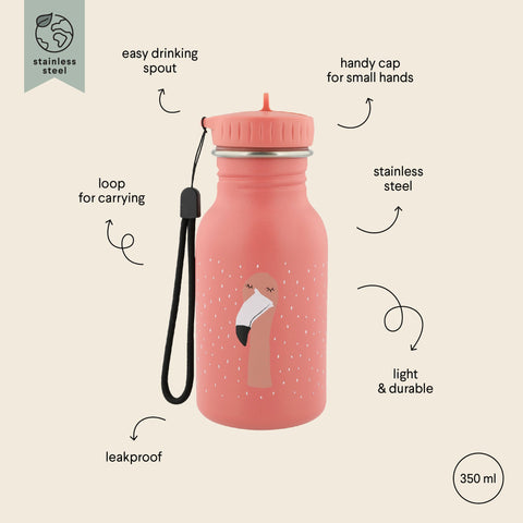 3. Pink stainless steel bottle with flamingo design, labeled features including loop and spout