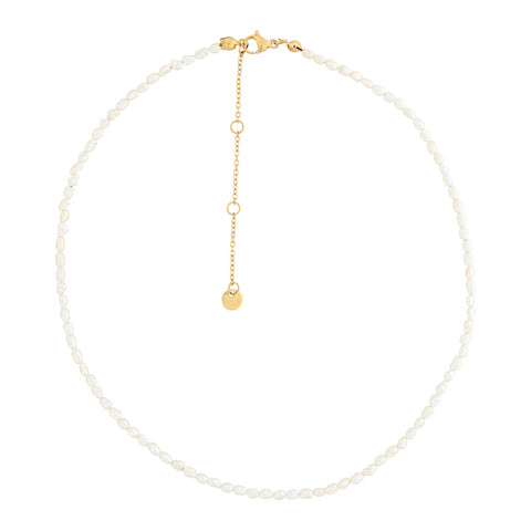 3. Olla necklace with freshwater pearls in gold, showcasing adjustable extension chain, studio shot