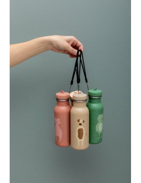 3. Hand holding three colorful stainless steel bottles with animal designs against grey background