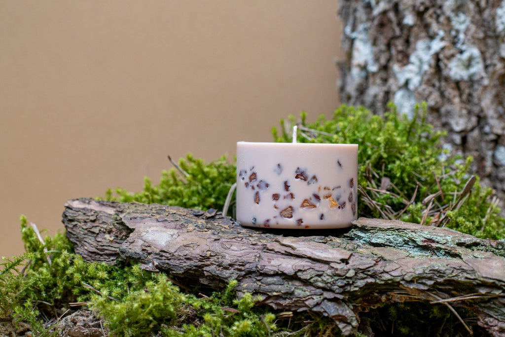 6. TL Candles hand-made soy wax candle with amber pieces, displayed on mossy wood in a natural setting