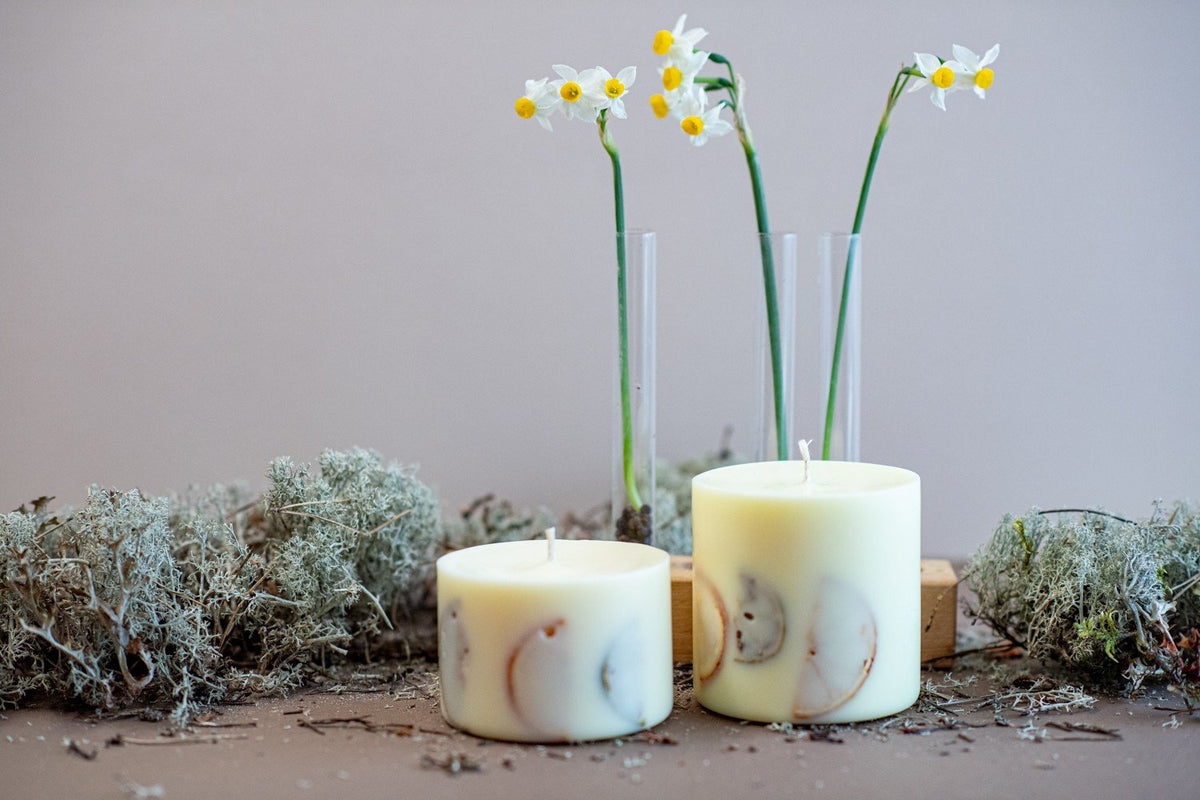 6. TL Candles soy wax candles in small and large sizes, with vanilla scent and natural decor, displayed in a lifestyle setting