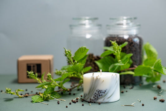 2. TL Candles hand-made soy wax candle with juniper fragrance, shown with natural elements and packaging