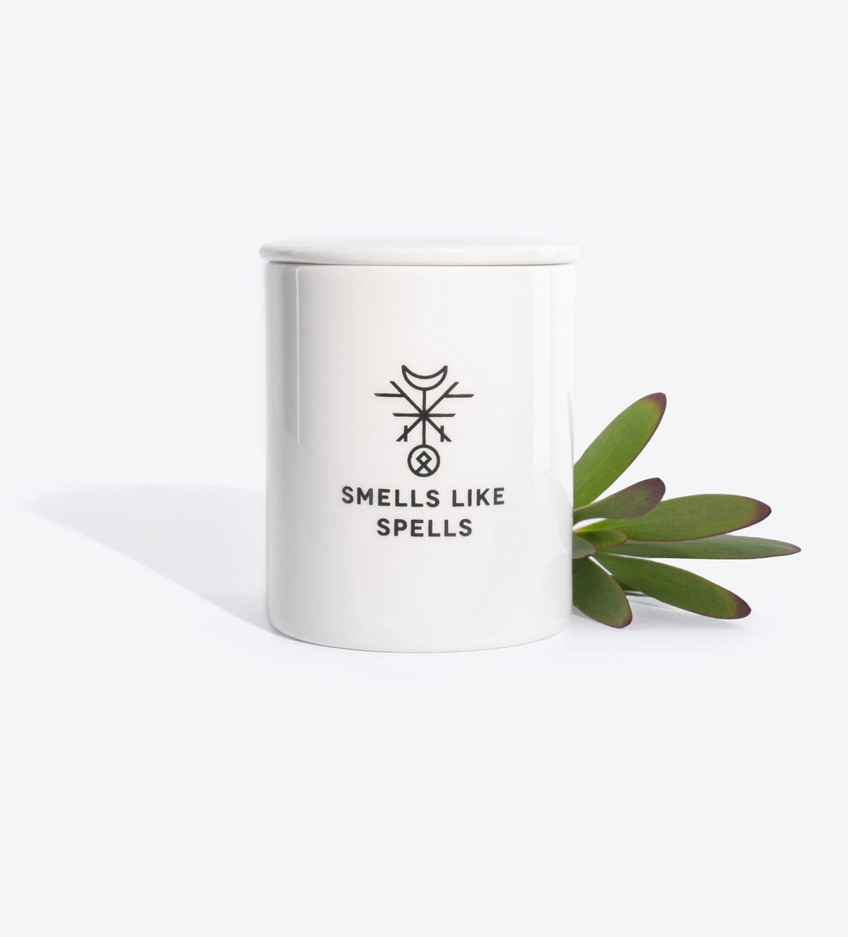 1. Smells Like Spells scented candle THE HIEROPHANT in white porcelain container with plant accent