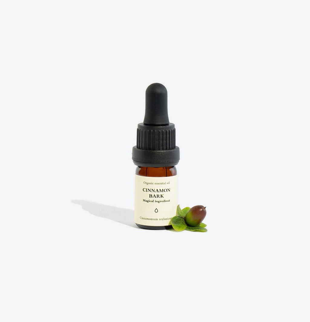 3. Smells Like Spells CINNAMON BARK Essential Oil with decorative plant, studio shot