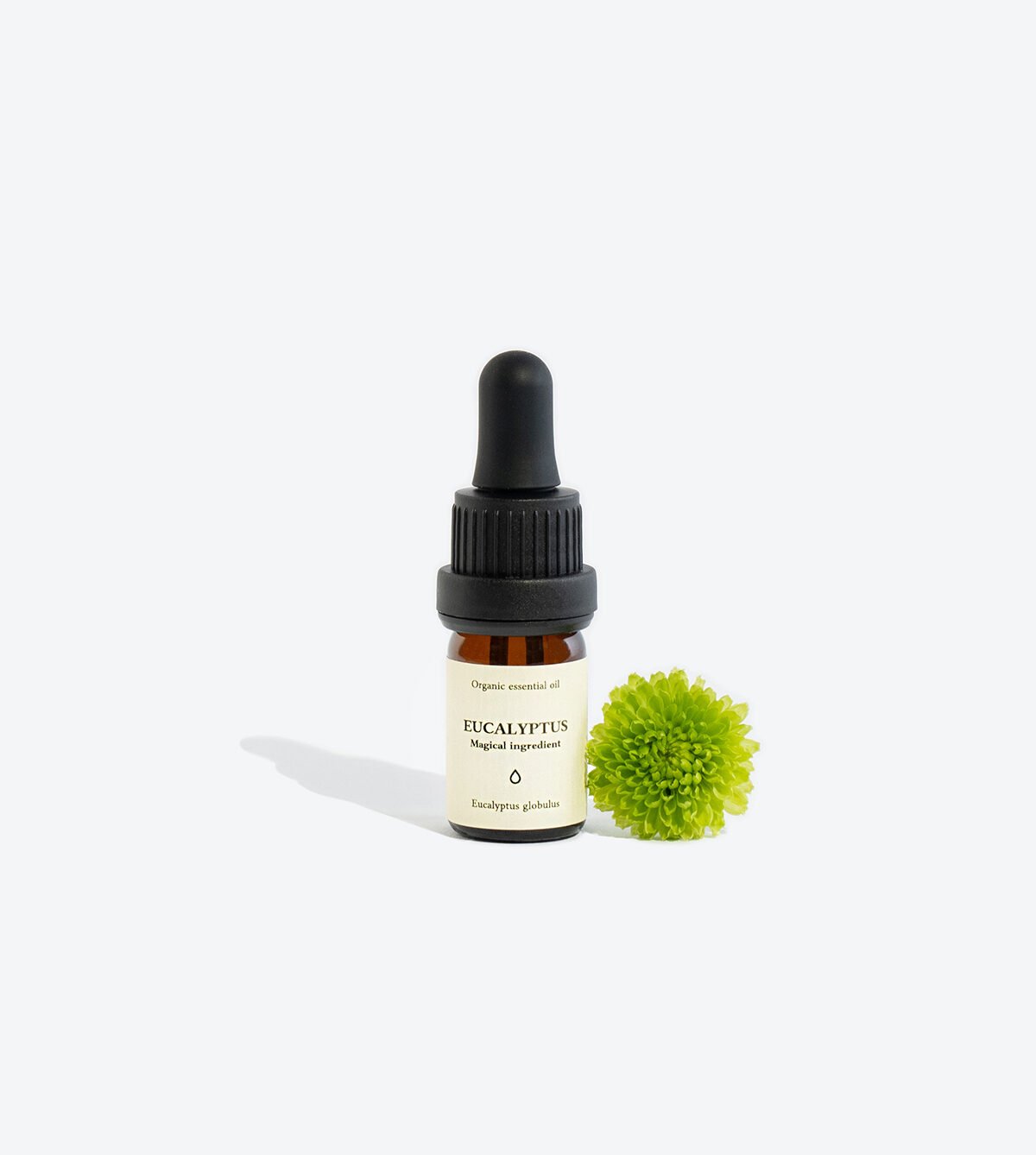 1. Smells Like Spells EUCALYPTUS Essential Oil in 5 ml glass bottle with pipette, shown with green flower for lifestyle appeal