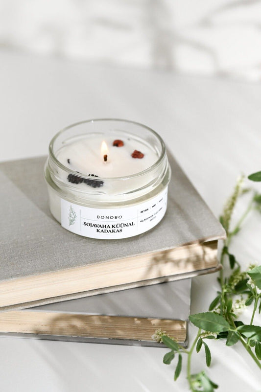 1. Bonobo scented candle in juniper, made from natural soy wax, displayed on books with greenery