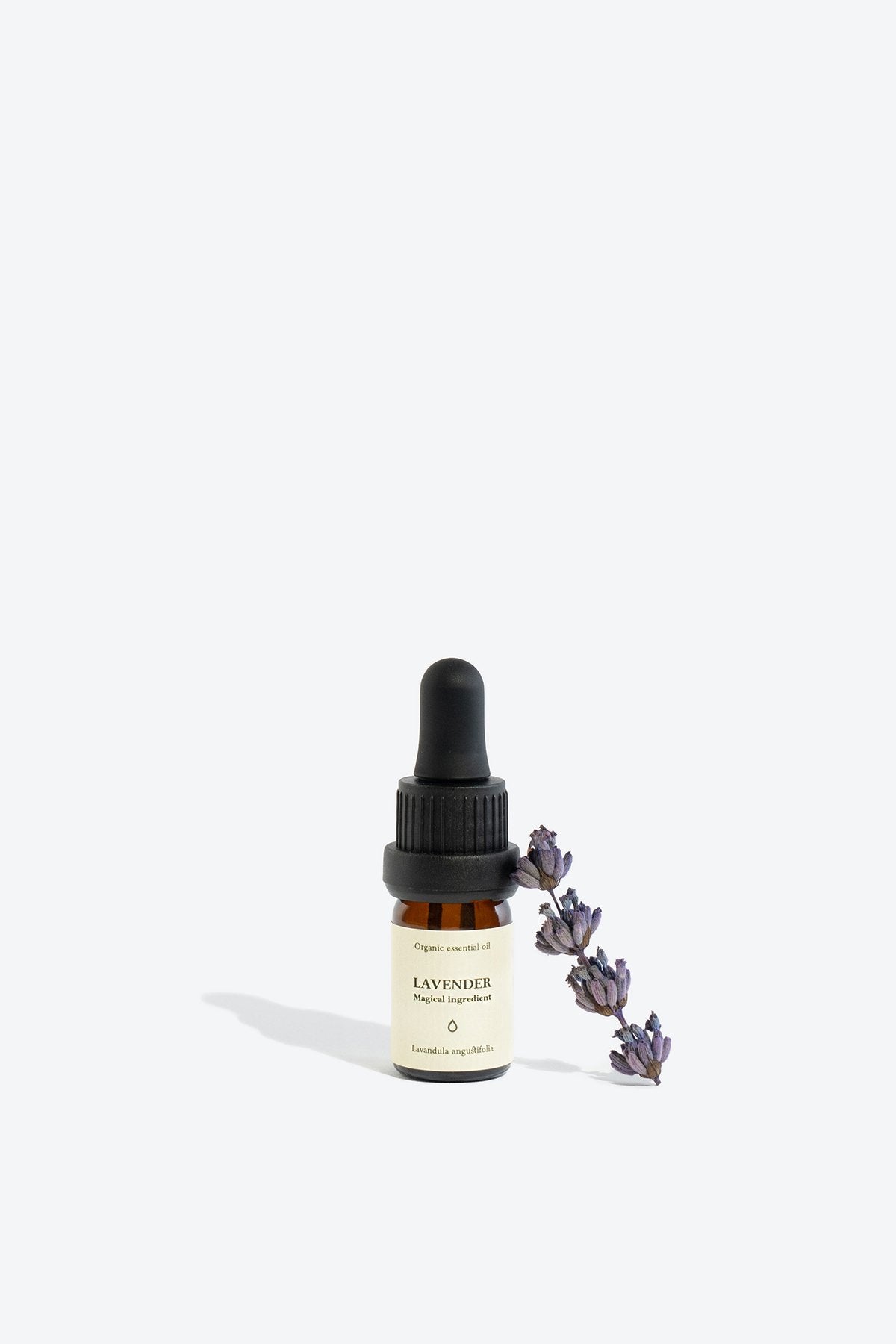 1. Smells Like Spells LAVENDER Essential Oil in 5 ml glass bottle with pipette, styled with lavender sprig