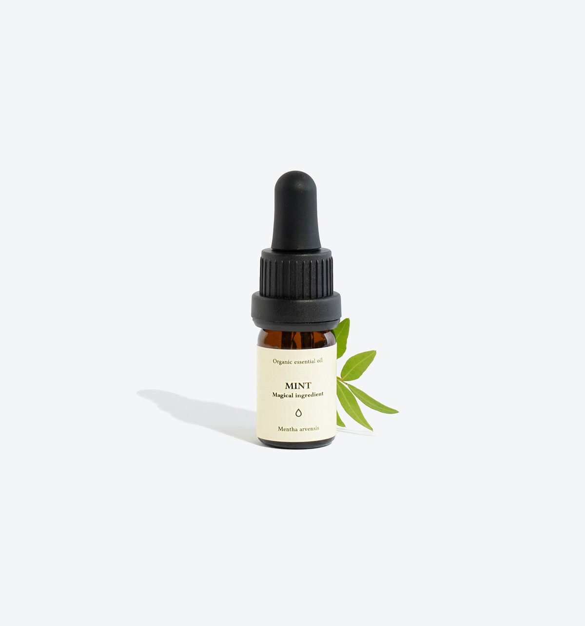 2. Smells Like Spells MINT Essential Oil with green leaf accent, studio setting