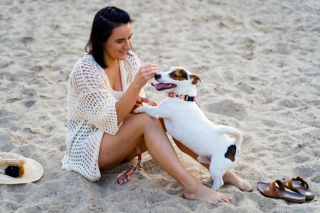 13. Woman playing with small dog wearing Matteo Boho Collection collar on sandy beach