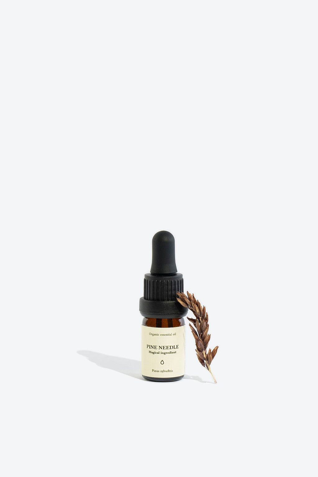 2. Smells Like Spells PINE NEEDLE Essential Oil, 5 ml glass bottle with pipette and decorative twig, studio setting