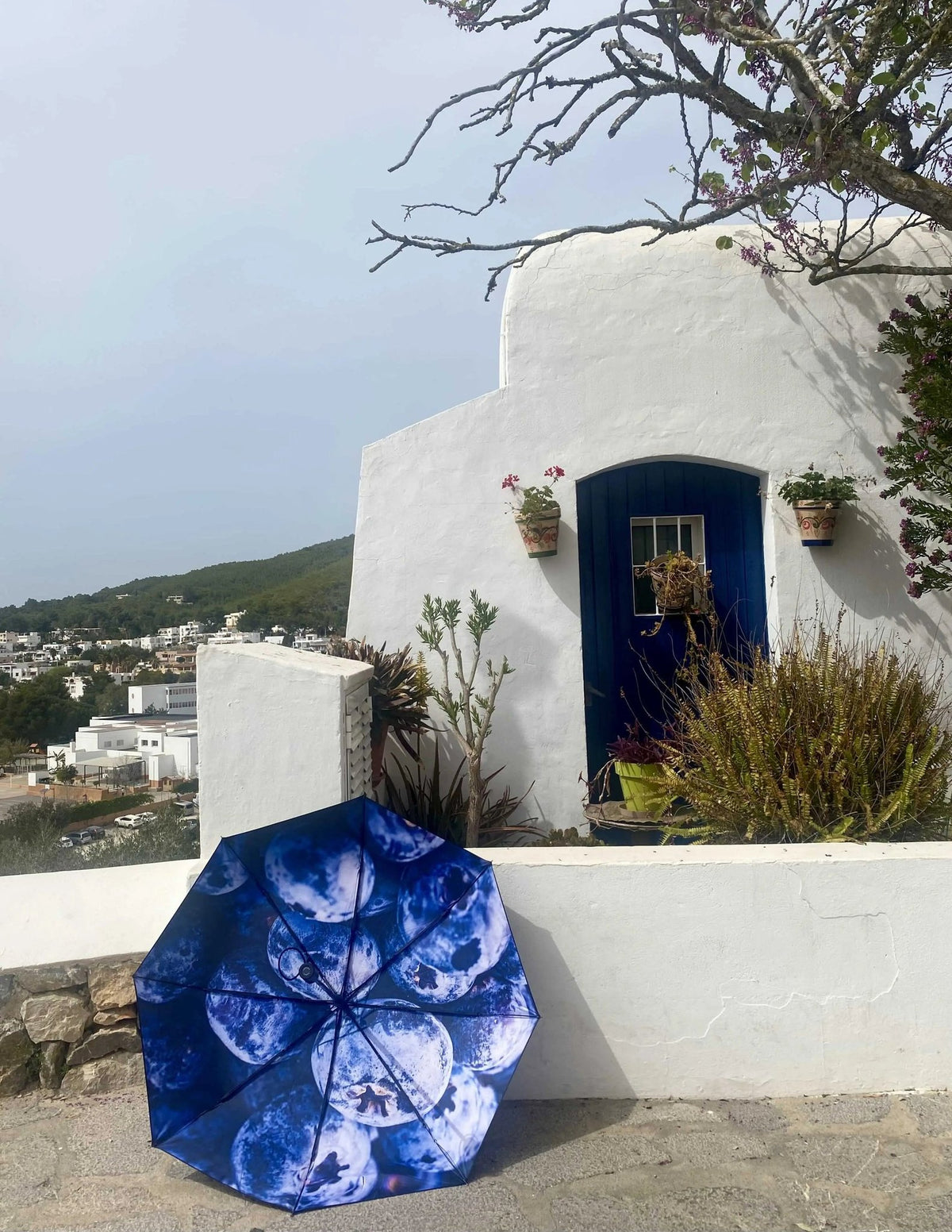1. Blåbär umbrella with blueberry print leaning against white wall in outdoor setting