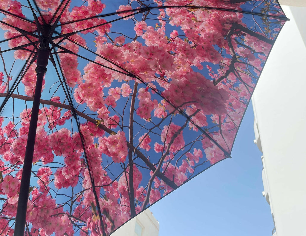 3. Close-up of cherry blossom design on large umbrella canopy against blue sky