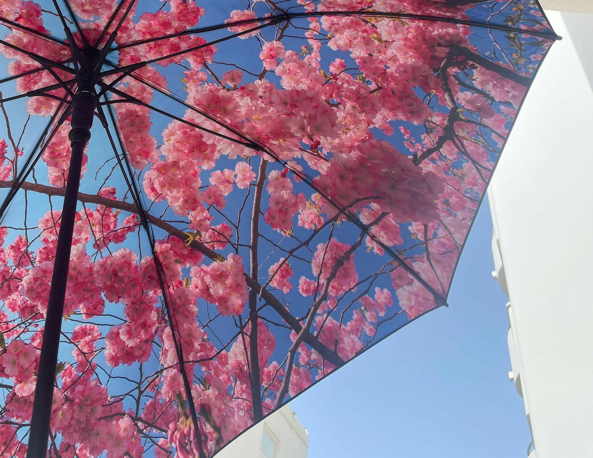3. Close-up of cherry blossom design on large umbrella canopy against blue sky