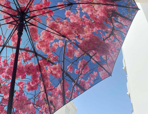 3. Close-up of cherry blossom design on large umbrella canopy against blue sky