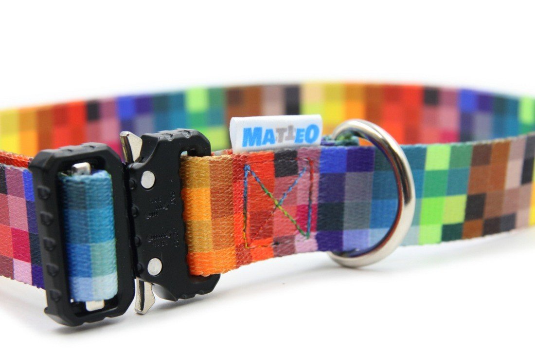 3. Detail of Matteo dog collar showing colorful pixel pattern and metal ring