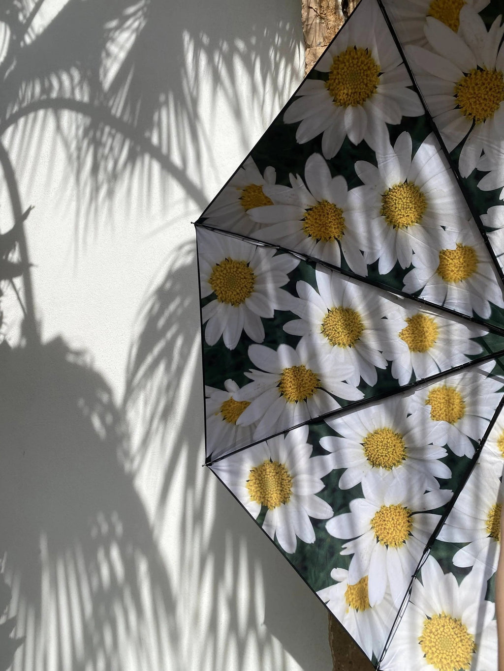 5. Daisy umbrella with floral design partially open with palm shadows on a white wall