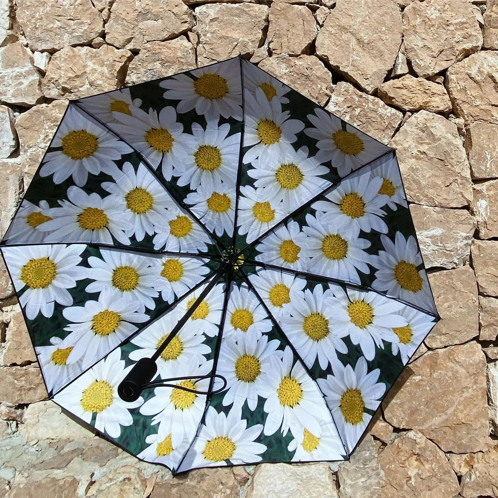 4. Open daisy umbrella with floral pattern against a stone wall background