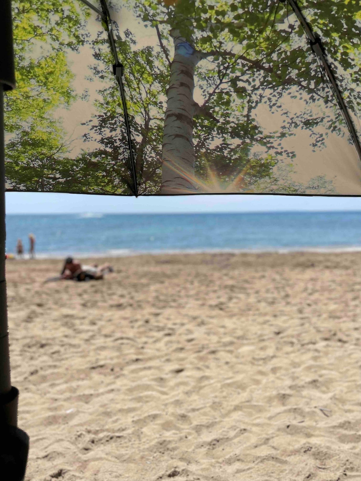 2. HAPPYSWEEDS forest-themed parasol with tree print offering shade on beach with people in background