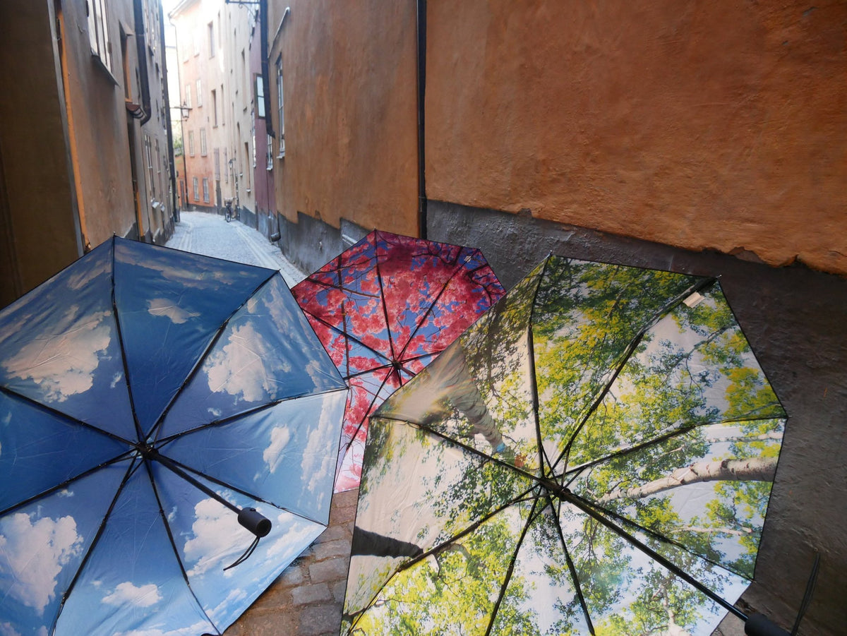 1. Three umbrellas with different prints including forest design on cobblestone street