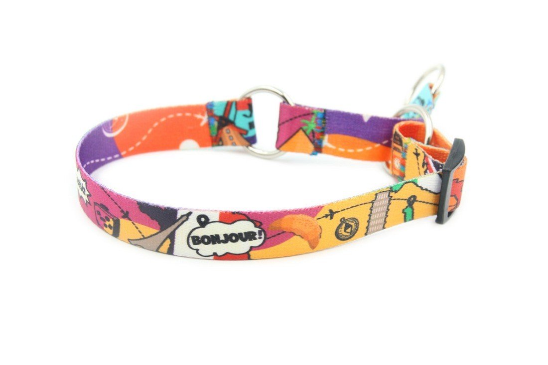 6. Dog collar with colorful travel-themed design and nickel-plated hardware, suitable for long-haired breeds