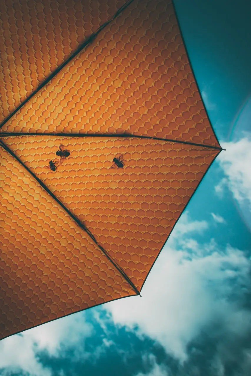 1. Honey Umbrella with honeycomb pattern against blue sky, highlighting vibrant design and UPF50+ protection