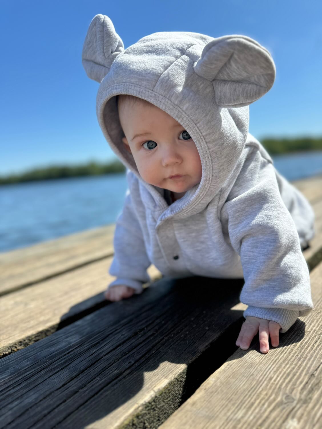 1. Baby crawling on wooden deck wearing Zezuzulla melange grey eared jumpsuit with hood