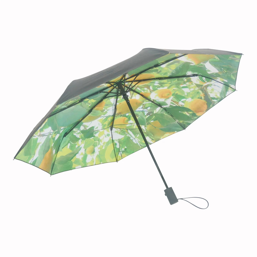 1. Lemon print umbrella open with black exterior, showcasing vibrant lemon design against white background