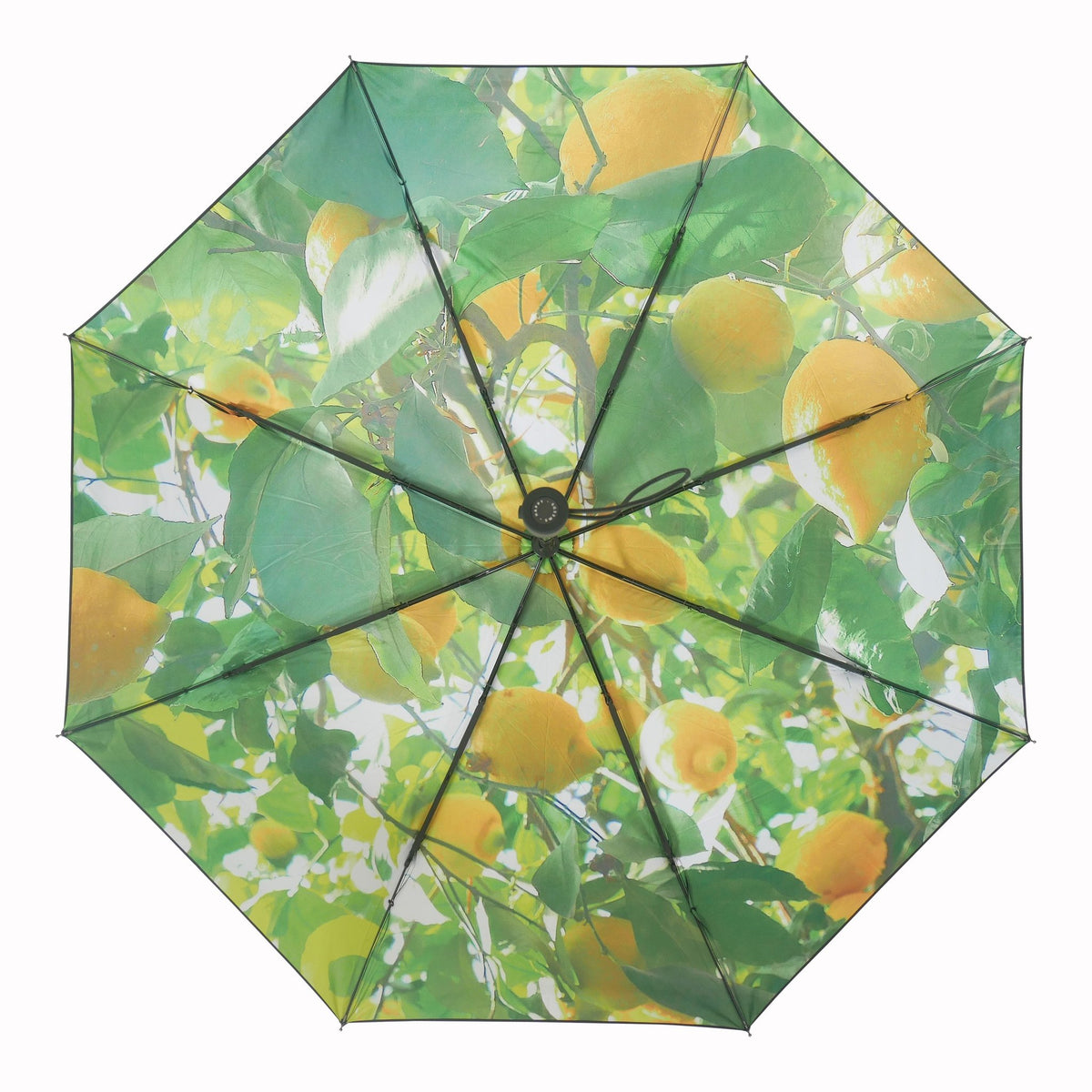 7. Lemon print umbrella fully open, displaying bright lemon and leaf pattern