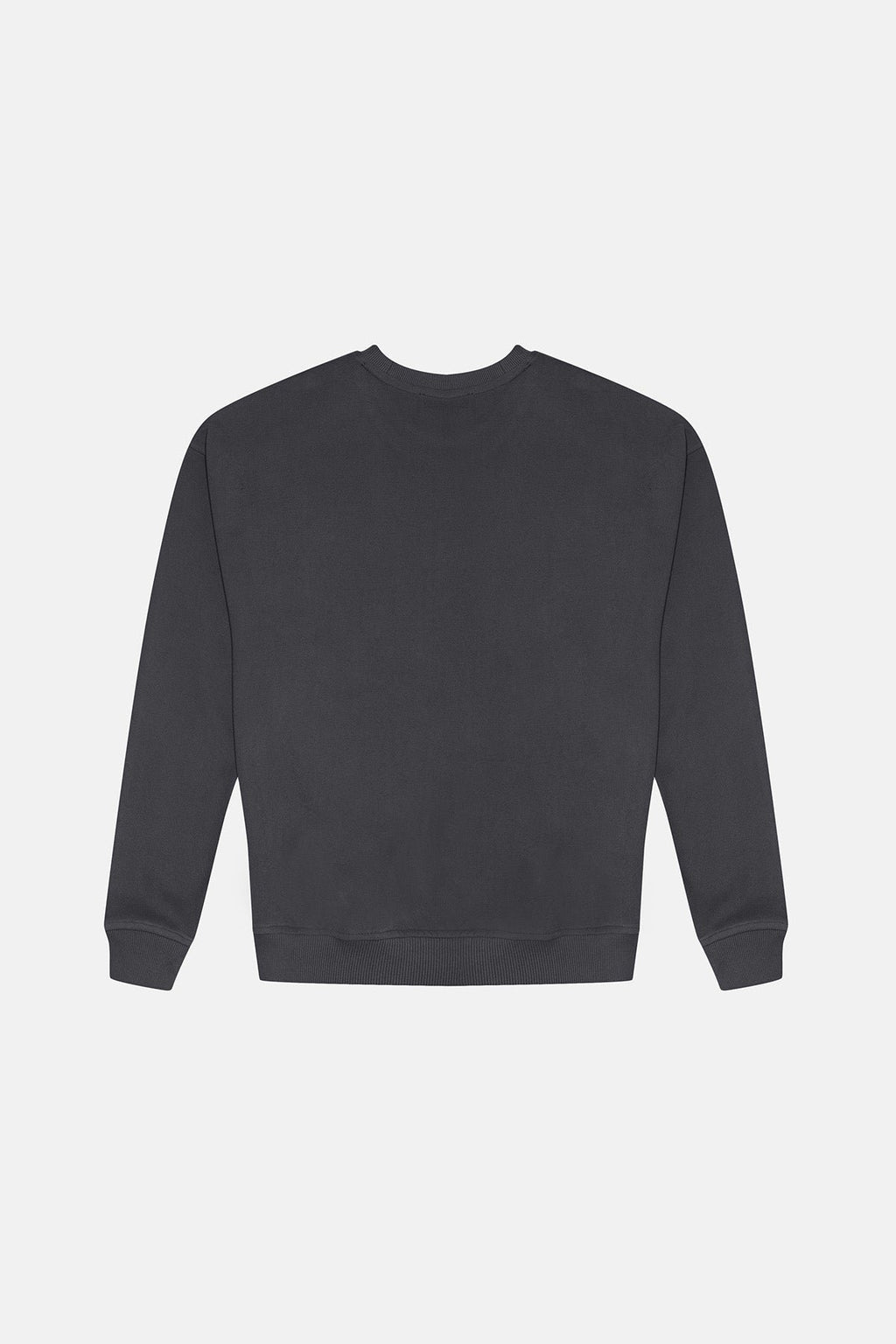 8. Studio product image of unisex anthracite Lion Sweatshirt by Sossu, back view