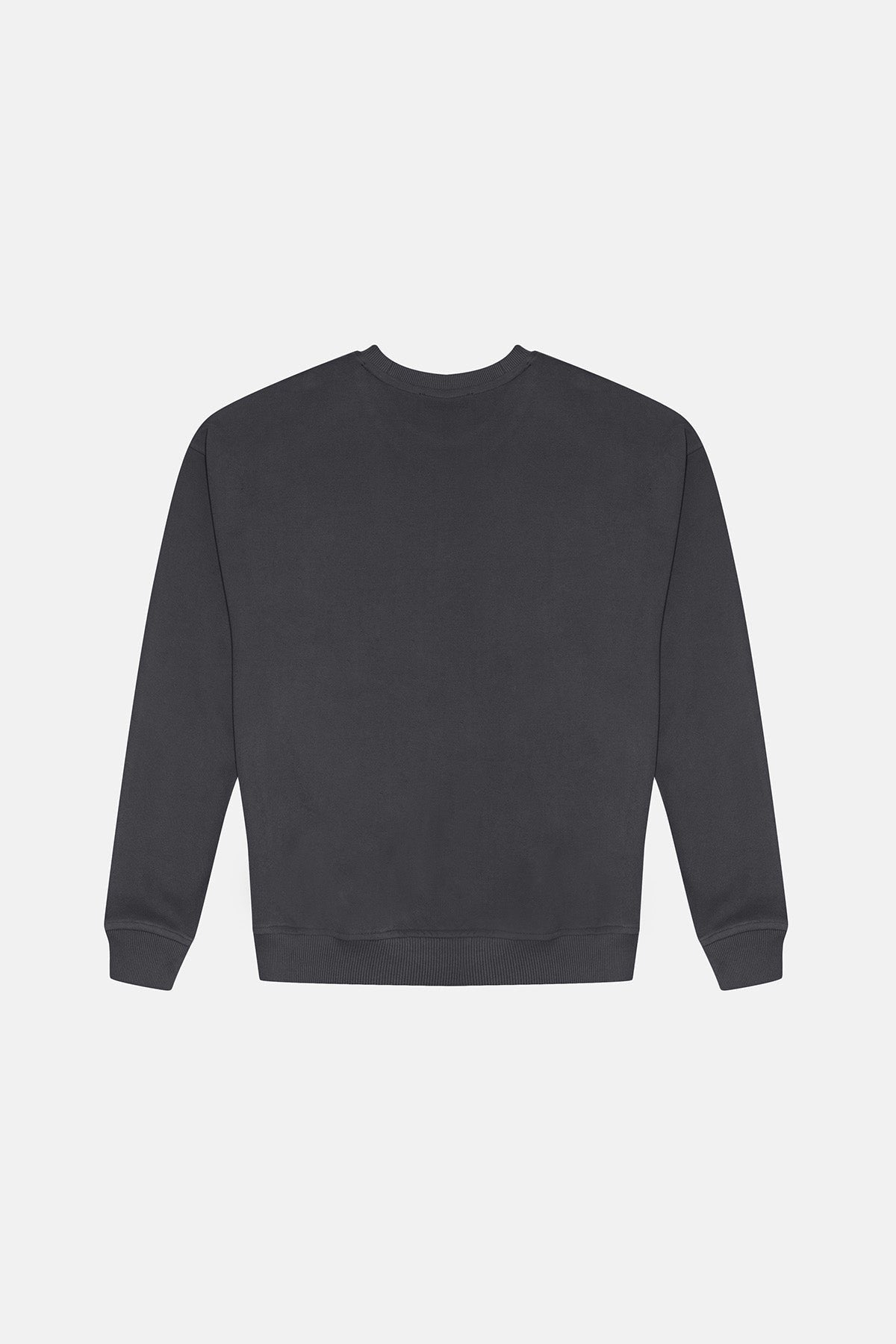 8. Studio product image of unisex anthracite Lion Sweatshirt by Sossu, back view