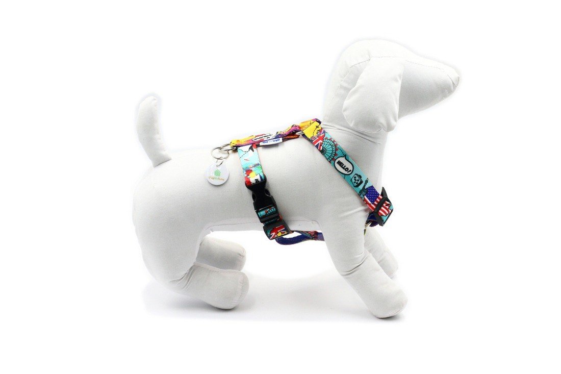 2. Colorful Matteo nylon harness on white dog mannequin shown from back in studio