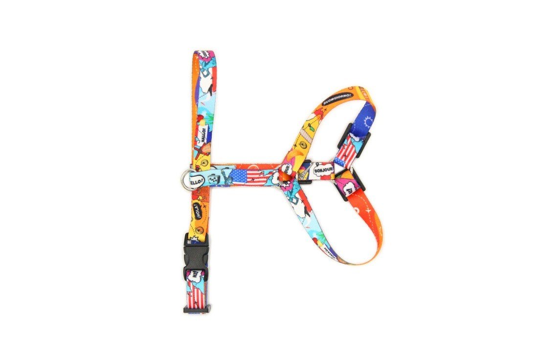 4. Flat lay of colorful Matteo nylon harness with adjustable straps and vibrant design