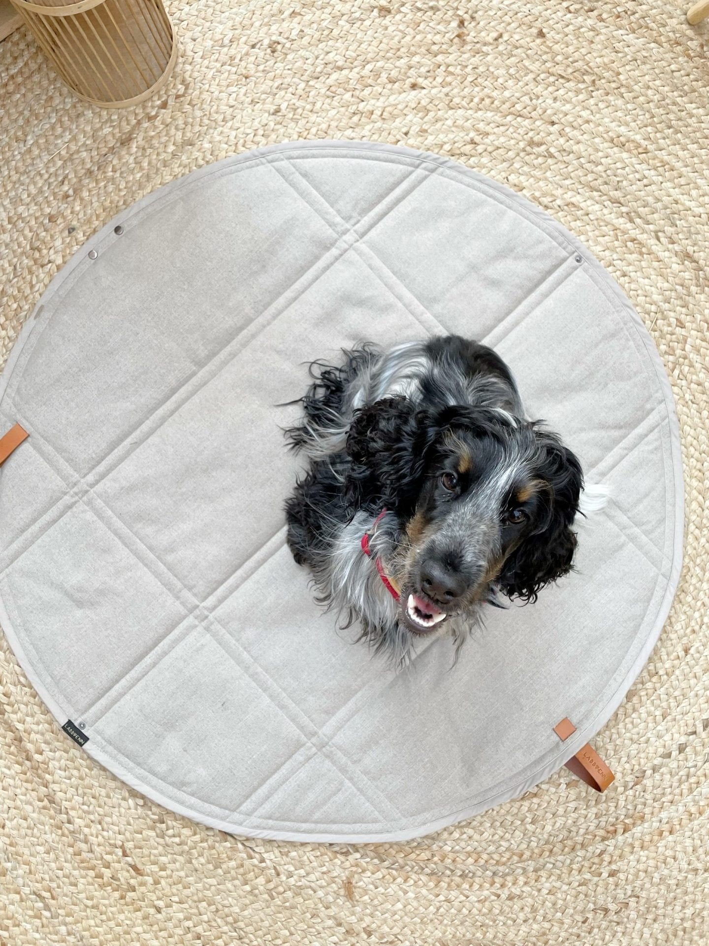 1. Black and white dog sitting on unfolded beige Okka travel mat on woven rug