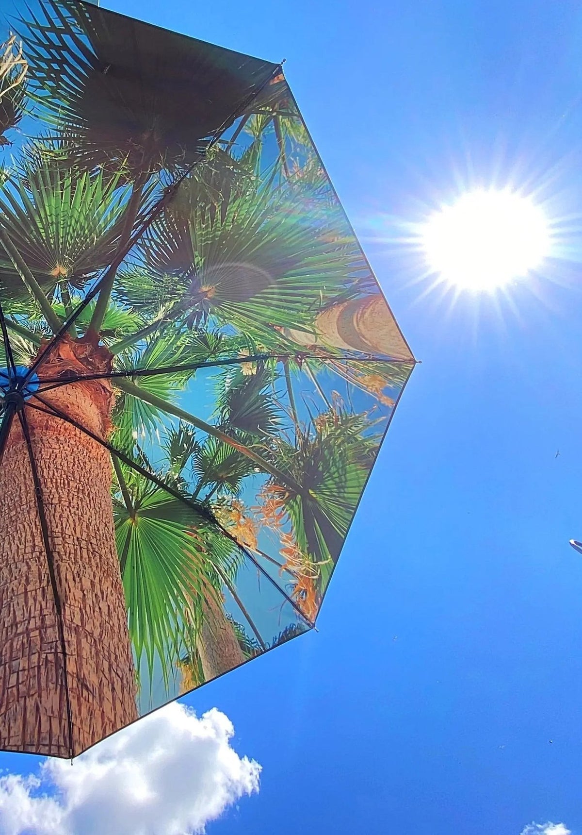 3. Paradise Umbrella with tropical print open under bright sun, showcasing UPF50+ protection