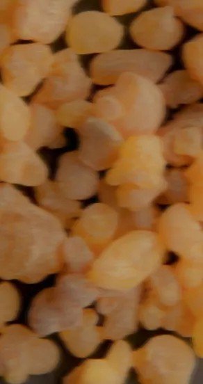 3. Close-up of olibanum resin granules highlighting the resin notes in the perfume