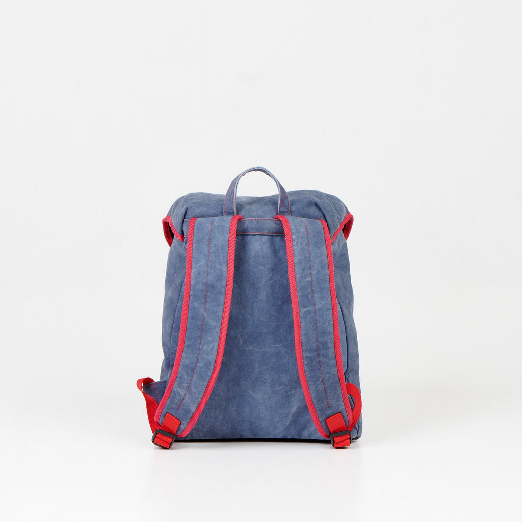 2. Back view of Noel Walker 12L backpack showing padded adjustable shoulder straps in studio