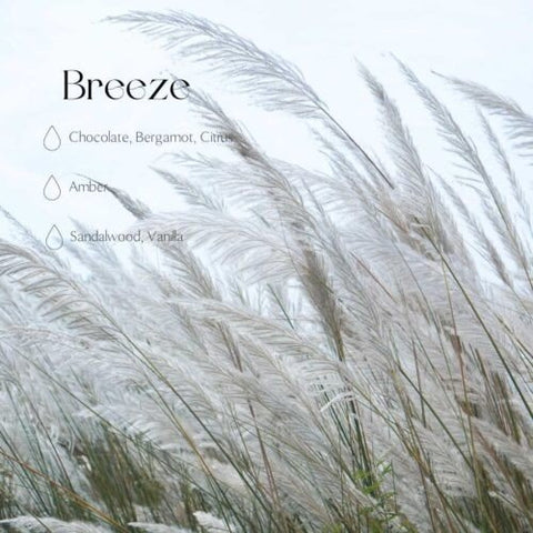 5. Size chart for Breeze fragrance with notes of chocolate, bergamot, citrus, amber, sandalwood, vanilla