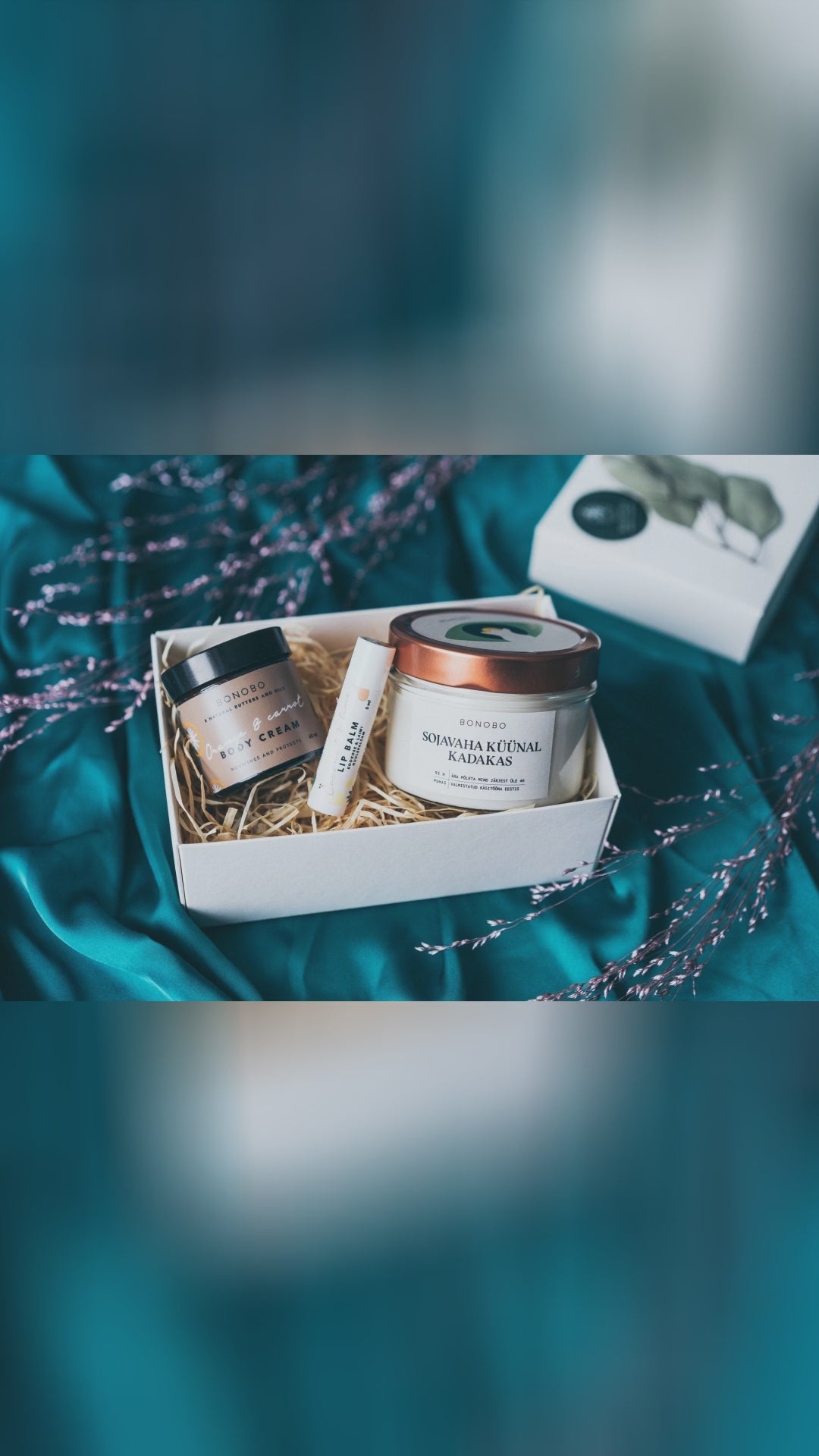 Glow + Chill: BONOBO “I See You!” Gift Box
