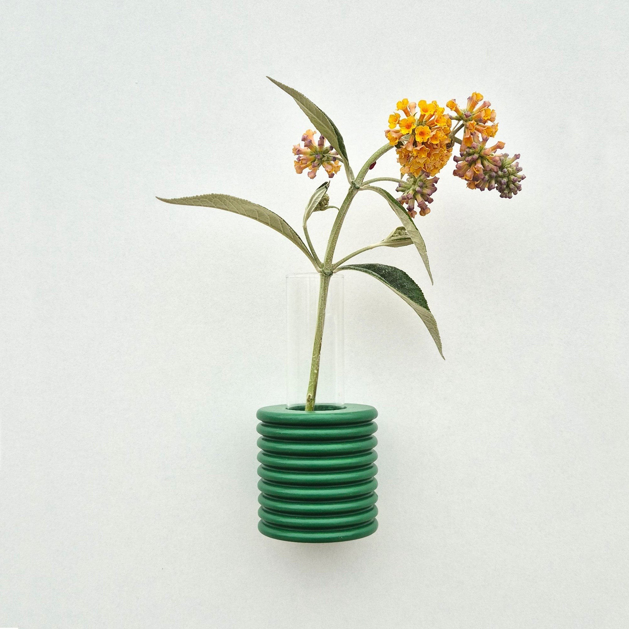 1. Ribble Wall Vase in green by 5mm Paper, showcasing vibrant flowers, handmade from beech wood with water-based paint, lifestyle setting