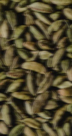 3. Close-up of cardamom pods highlighting texture and color