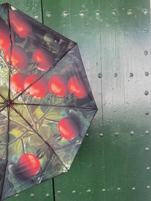 3. Close-up of open umbrella with red tomato design against a green textured background